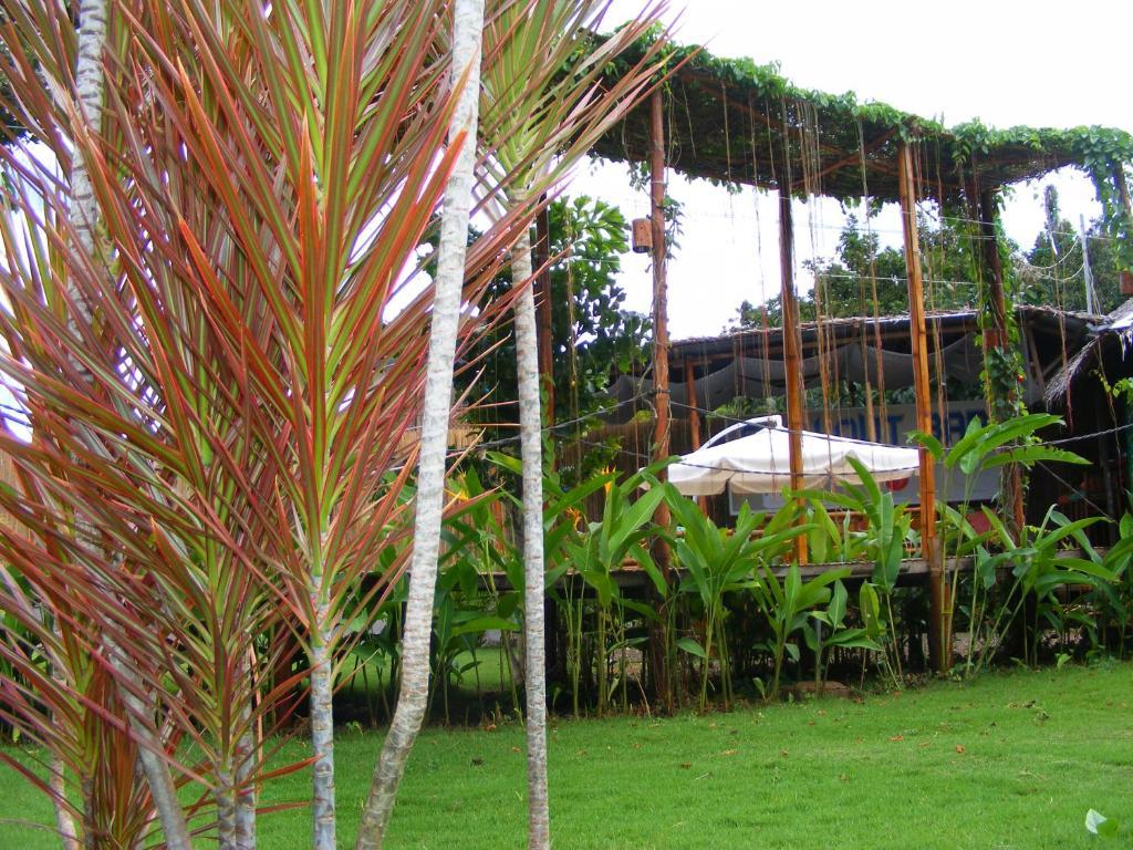 Chillout Guesthouse Panglao Eksteriør billede