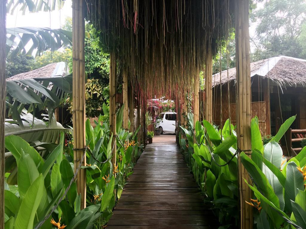 Chillout Guesthouse Panglao Eksteriør billede